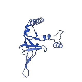 26445_7uck_Y_v1-3
80S translation initiation complex with ac4c(-1) mRNA and Harringtonine