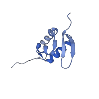 26445_7uck_ZZ_v1-3
80S translation initiation complex with ac4c(-1) mRNA and Harringtonine