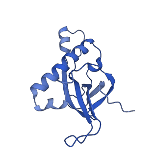26445_7uck_Z_v1-3
80S translation initiation complex with ac4c(-1) mRNA and Harringtonine