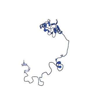 26445_7uck_a_v1-3
80S translation initiation complex with ac4c(-1) mRNA and Harringtonine