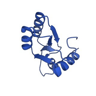 26445_7uck_c_v1-3
80S translation initiation complex with ac4c(-1) mRNA and Harringtonine