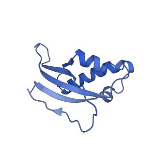 26445_7uck_d_v1-3
80S translation initiation complex with ac4c(-1) mRNA and Harringtonine