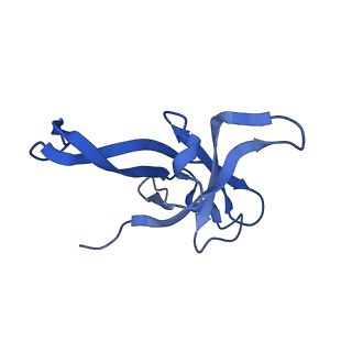 26445_7uck_f_v1-3
80S translation initiation complex with ac4c(-1) mRNA and Harringtonine