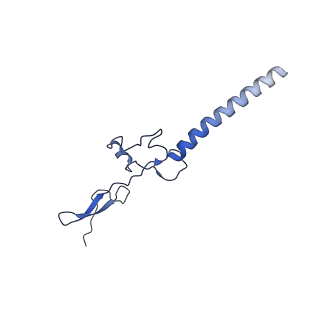 26445_7uck_g_v1-3
80S translation initiation complex with ac4c(-1) mRNA and Harringtonine