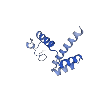 26445_7uck_i_v1-3
80S translation initiation complex with ac4c(-1) mRNA and Harringtonine