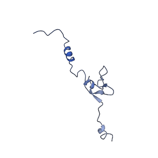 26445_7uck_j_v1-3
80S translation initiation complex with ac4c(-1) mRNA and Harringtonine