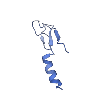 26445_7uck_m_v1-3
80S translation initiation complex with ac4c(-1) mRNA and Harringtonine