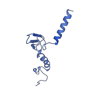 26445_7uck_p_v1-3
80S translation initiation complex with ac4c(-1) mRNA and Harringtonine