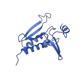 26445_7uck_r_v1-3
80S translation initiation complex with ac4c(-1) mRNA and Harringtonine