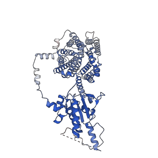 42112_8uc1_A_v1-0
Cryo-EM structure of dolphin Prestin in low Cl buffer
