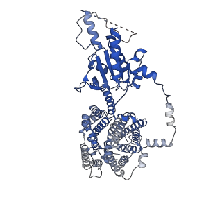 42112_8uc1_B_v1-0
Cryo-EM structure of dolphin Prestin in low Cl buffer