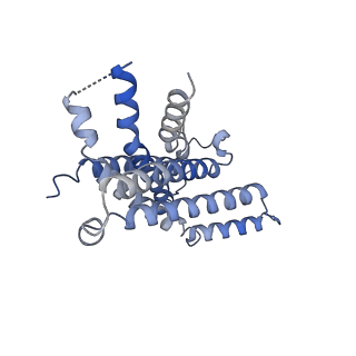 42124_8ucd_B_v1-1
Cryo-EM structure of human STEAP1 in complex with AMG 509 Fab