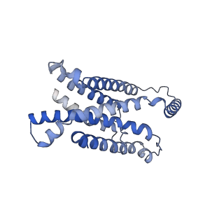 42124_8ucd_C_v1-1
Cryo-EM structure of human STEAP1 in complex with AMG 509 Fab