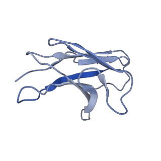 42124_8ucd_L_v1-1
Cryo-EM structure of human STEAP1 in complex with AMG 509 Fab