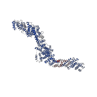 42135_8ucq_A_v1-0
CryoEM structure of Sec7 autoinhibited conformation