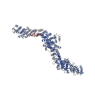 42135_8ucq_B_v1-0
CryoEM structure of Sec7 autoinhibited conformation