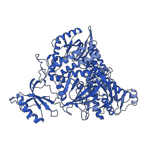 42140_8ucu_A_v1-0
Partial DNA termination subcomplex of Xenopus laevis DNA polymerase alpha-primase