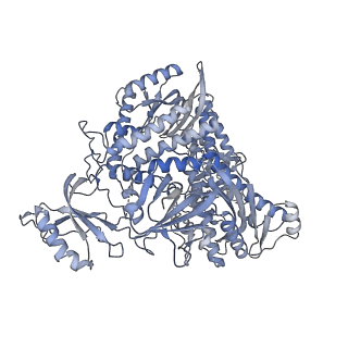 42141_8ucv_A_v1-0
Complete DNA termination subcomplex 1 of Xenopus laevis DNA polymerase alpha-primase