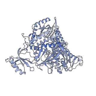 42141_8ucv_A_v1-2
Complete DNA termination subcomplex 1 of Xenopus laevis DNA polymerase alpha-primase