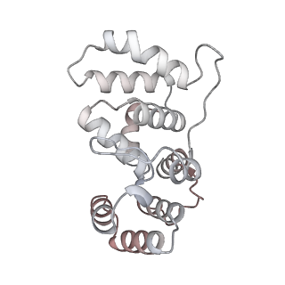 42141_8ucv_B_v1-0
Complete DNA termination subcomplex 1 of Xenopus laevis DNA polymerase alpha-primase