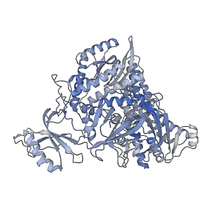 42142_8ucw_A_v1-0
Complete DNA termination subcomplex 2 of Xenopus laevis DNA polymerase alpha-primase
