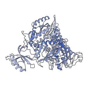 42142_8ucw_A_v1-2
Complete DNA termination subcomplex 2 of Xenopus laevis DNA polymerase alpha-primase