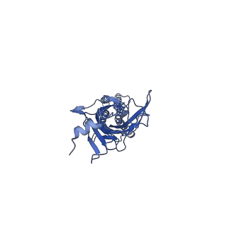 20731_6ud3_A_v1-1
Full length Glycine receptor reconstituted in lipid nanodisc in Gly/PTX-bound open/blocked conformation