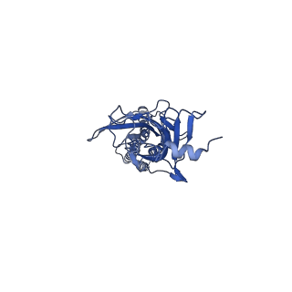 20731_6ud3_C_v1-2
Full length Glycine receptor reconstituted in lipid nanodisc in Gly/PTX-bound open/blocked conformation