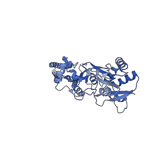 20734_6ud8_A_v1-2
GluA2 in complex with its auxiliary subunit CNIH3 - with antagonist ZK200775