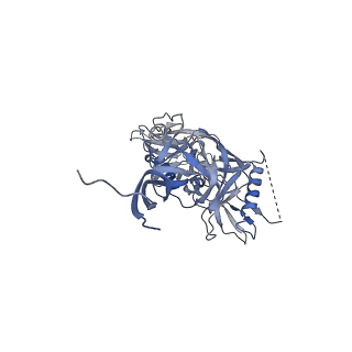 20735_6uda_A_v1-1
Cryo-EM structure of CH235UCA bound to Man5-enriched CH505.N279K.G458Y.SOSIP.664