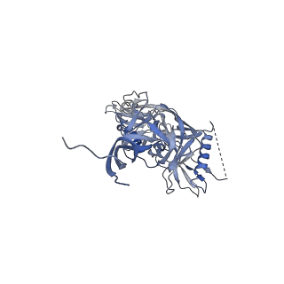 20735_6uda_A_v2-0
Cryo-EM structure of CH235UCA bound to Man5-enriched CH505.N279K.G458Y.SOSIP.664