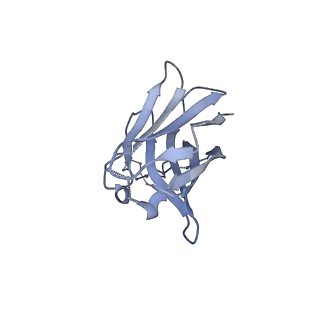 20739_6udj_A_v1-2
HIV-1 bNAb 1-18 in complex with BG505 SOSIP.664 and 10-1074