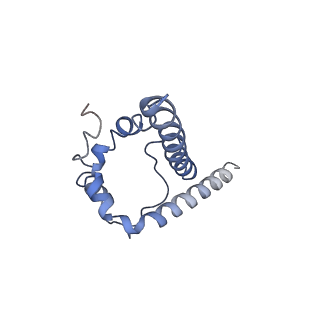 20739_6udj_C_v1-2
HIV-1 bNAb 1-18 in complex with BG505 SOSIP.664 and 10-1074
