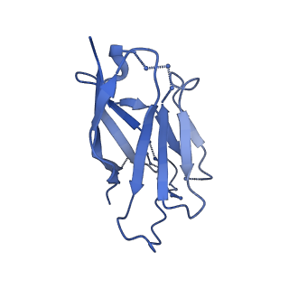 20739_6udj_D_v1-2
HIV-1 bNAb 1-18 in complex with BG505 SOSIP.664 and 10-1074