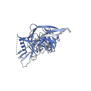 20739_6udj_G_v1-2
HIV-1 bNAb 1-18 in complex with BG505 SOSIP.664 and 10-1074