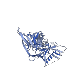 20739_6udj_J_v1-2
HIV-1 bNAb 1-18 in complex with BG505 SOSIP.664 and 10-1074