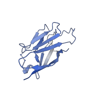 20739_6udj_N_v1-2
HIV-1 bNAb 1-18 in complex with BG505 SOSIP.664 and 10-1074