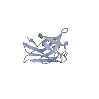 20739_6udj_Q_v1-2
HIV-1 bNAb 1-18 in complex with BG505 SOSIP.664 and 10-1074