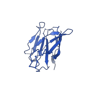 20740_6udk_H_v1-2
HIV-1 bNAb 1-55 in complex with modified BG505 SOSIP-based immunogen RC1 and 10-1074