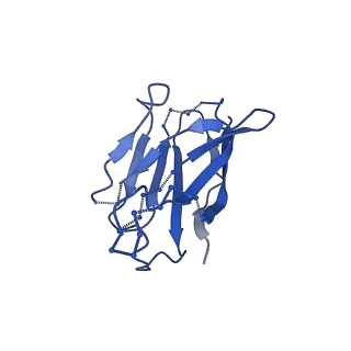 20740_6udk_H_v2-0
HIV-1 bNAb 1-55 in complex with modified BG505 SOSIP-based immunogen RC1 and 10-1074