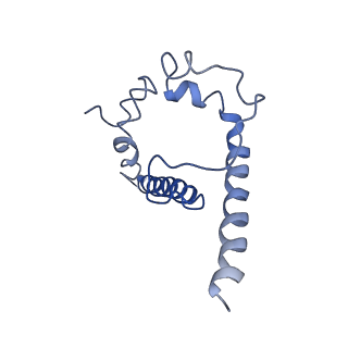 20740_6udk_J_v1-2
HIV-1 bNAb 1-55 in complex with modified BG505 SOSIP-based immunogen RC1 and 10-1074