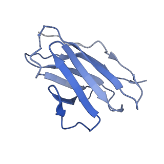 20740_6udk_L_v1-2
HIV-1 bNAb 1-55 in complex with modified BG505 SOSIP-based immunogen RC1 and 10-1074