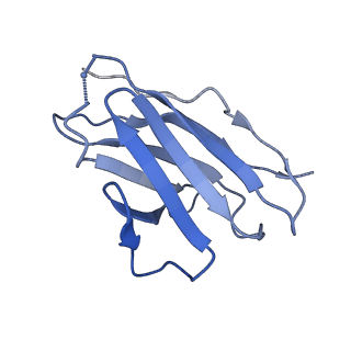 20740_6udk_L_v2-0
HIV-1 bNAb 1-55 in complex with modified BG505 SOSIP-based immunogen RC1 and 10-1074
