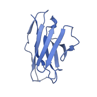 20740_6udk_N_v1-2
HIV-1 bNAb 1-55 in complex with modified BG505 SOSIP-based immunogen RC1 and 10-1074