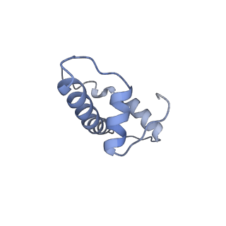 26454_7ud5_B_v1-2
Complex between MLL1-WRAD and an H2B-ubiquitinated nucleosome