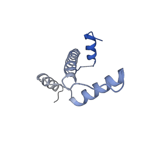 26454_7ud5_E_v1-2
Complex between MLL1-WRAD and an H2B-ubiquitinated nucleosome