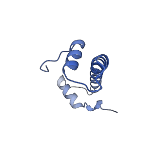 26454_7ud5_F_v1-2
Complex between MLL1-WRAD and an H2B-ubiquitinated nucleosome