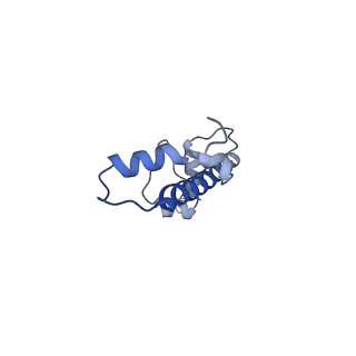 26454_7ud5_G_v1-2
Complex between MLL1-WRAD and an H2B-ubiquitinated nucleosome