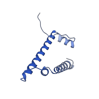 26454_7ud5_H_v1-2
Complex between MLL1-WRAD and an H2B-ubiquitinated nucleosome