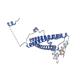 26455_7udb_B_v1-1
Cryo-EM structure of a synaptobrevin-Munc18-1-syntaxin-1 complex class 2